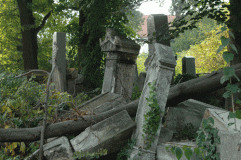 Jüdischer Friedhof Währing