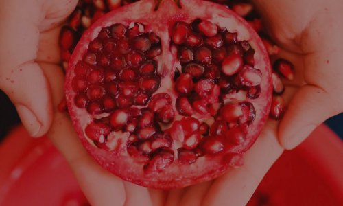 Granatapfel
