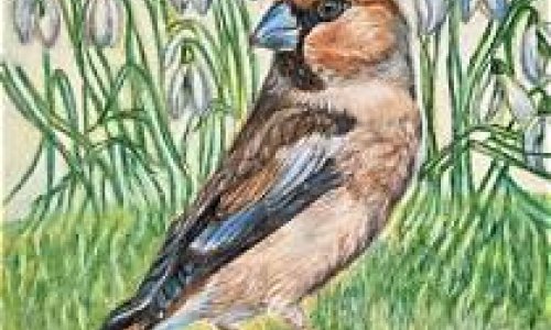 Bild von Jutta Aschauer