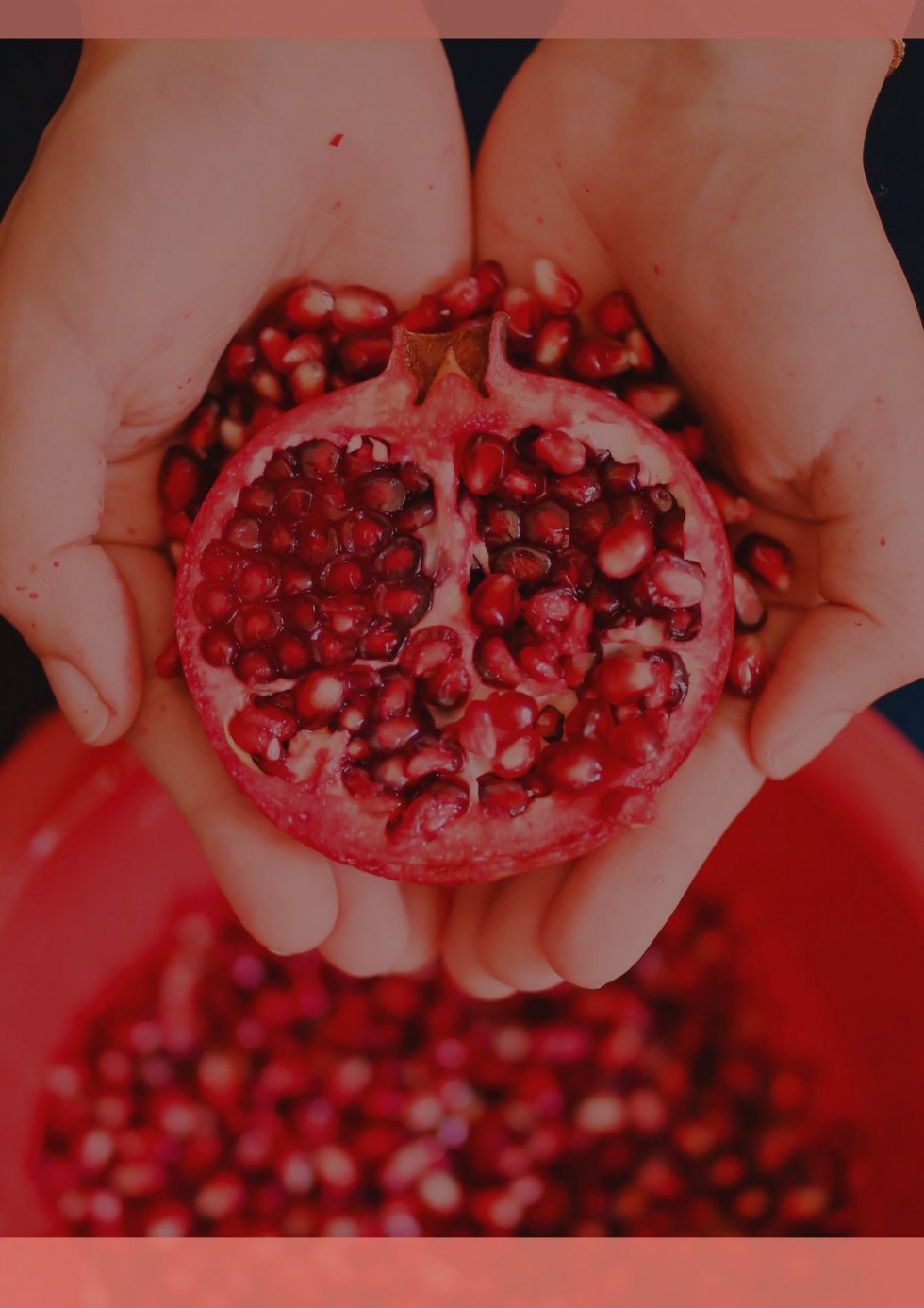 Granatapfel