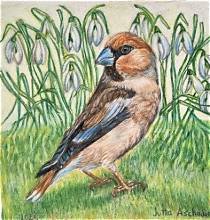 Bild von Jutta Aschauer