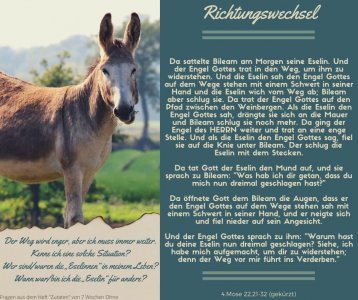 Impuls Passionszeit